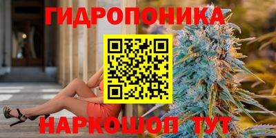 твердый Дмитров