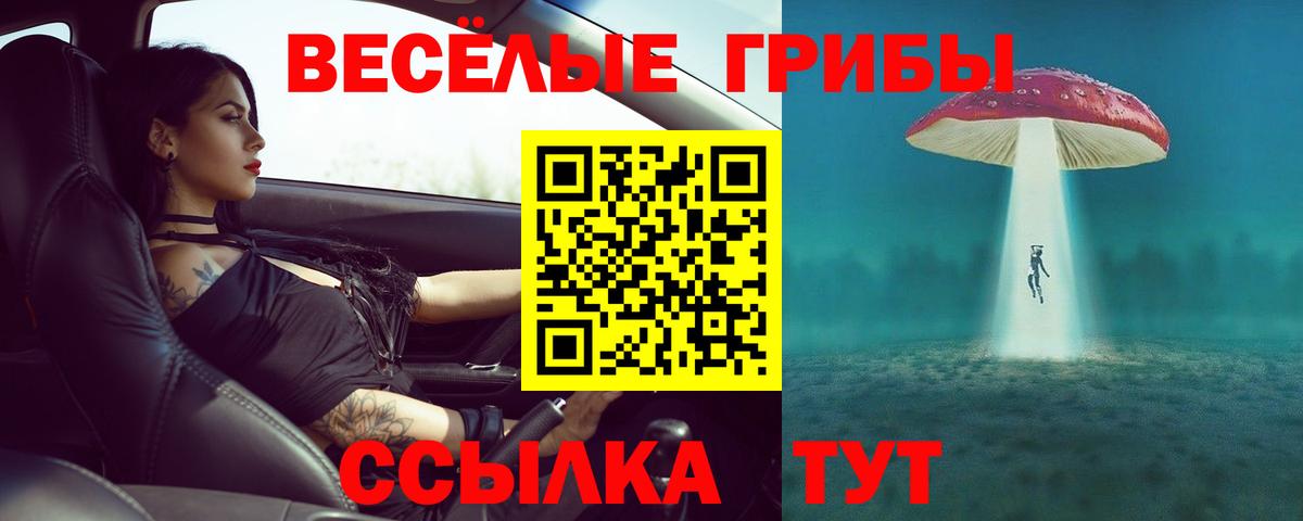 где продают наркотики  Вход с VPN  Псилоцибиновые грибы Magic Shrooms  Борисоглебск  Псилоцибиновые грибы Magic Shrooms 